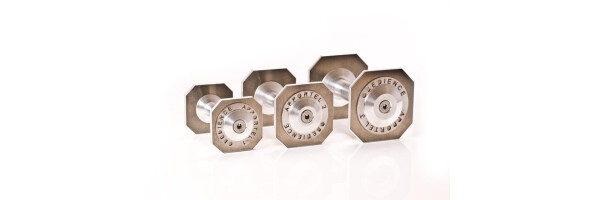 Obedience, Rally-Obedience