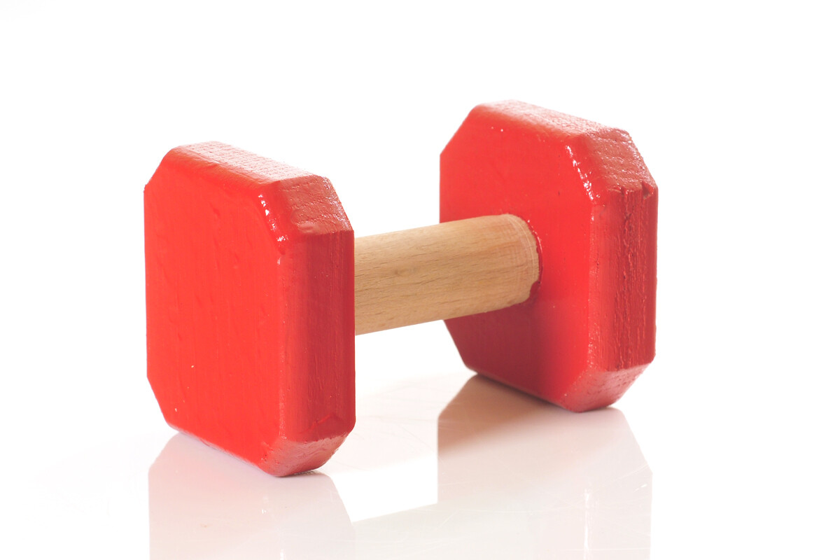 Obedience- und IGP-Apportierhölzer