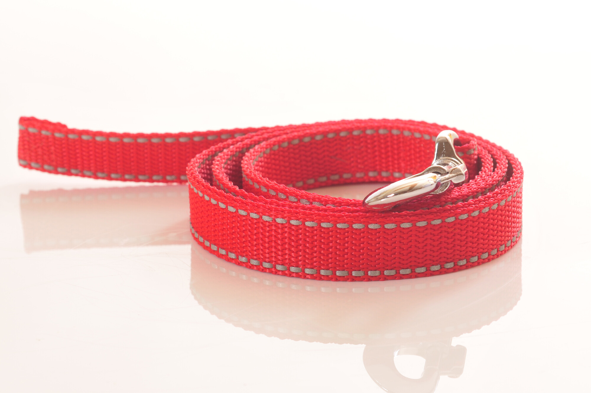 Hundeleinen mit Reflektorstreifen