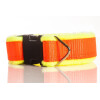 Halsband neon aus Gurtband, gepolstert, Farbe: gelb (Polster), orange (Gurtband) Breite: 30mm