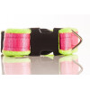 Halsband neon aus Gurtband, gepolstert, Farbe: grün (Polster), pink (Gurtband) Breite: 40mm