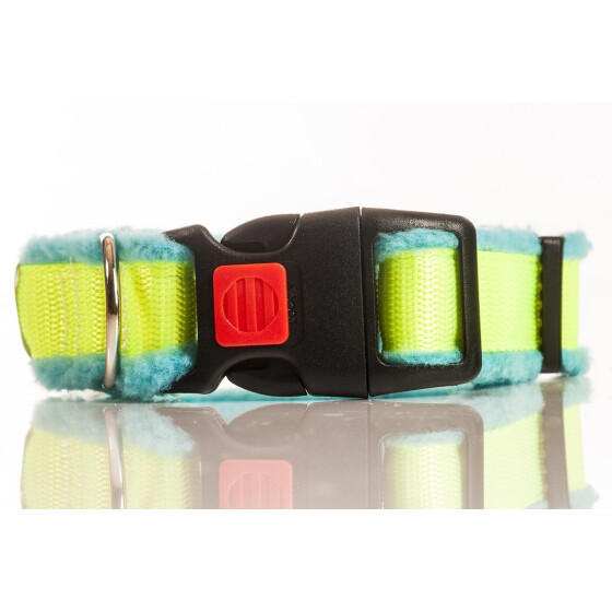 Halsband neon aus Gurtband, gepolstert, Farbe: türkis (Polster), gelb (Gurtband) Breite: 50mm