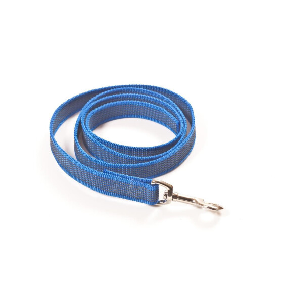 Leine, gummiert, 20mm breit,  ohne Handschlaufe, Farbe: blau, Länge: 2m