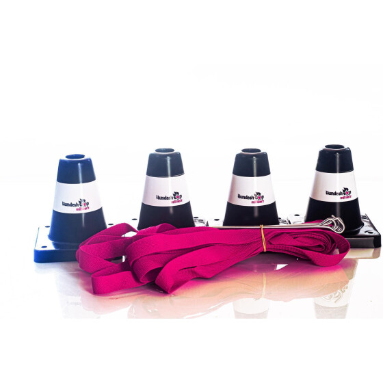Obedience-Boxset aus Boxband und 4 schwarzen Pylonen schwarz-pink