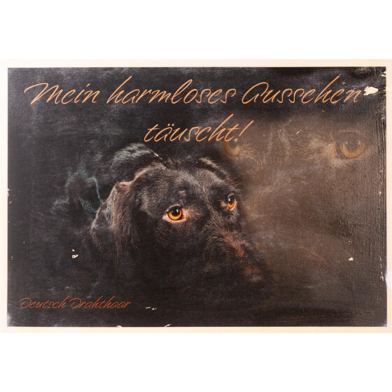 Holzschild von Hand bedruckt, A4-Format DD (Mein harmloses-aussehen-täuscht)