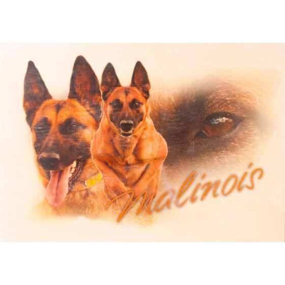 Holzschild von Hand bedruckt, A4-Format Malinois