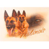 Holzschild von Hand bedruckt, A4-Format Malinois