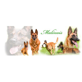 Tasse mit Rasseaufdruck Malinois, rechtshänder