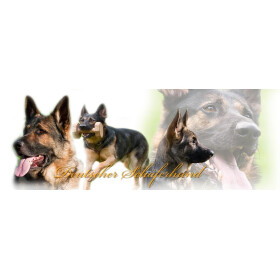 Tasse mit Rasseaufdruck Deutscher-Schäferhund, linkshänder