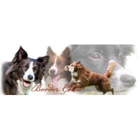 Tasse mit Rasseaufdruck Border-Collie, linkshänder