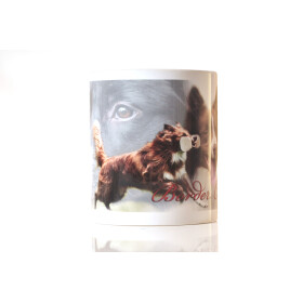 Tasse mit Rasseaufdruck Border-Collie, rechtshänder