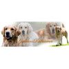 Tasse mit Rasseaufdruck Golden-Retriever, rechtshänder