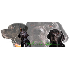 Tasse mit Rasseaufdruck Labrador-schwarz, rechtshänder