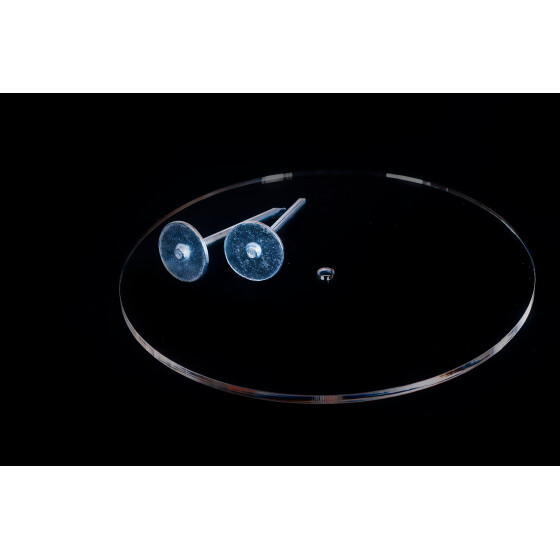 Target, plexiglas in 3 Größen L (13 cm) transparent