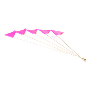 Fähnchen, Marker für Fährtentraining, 5...