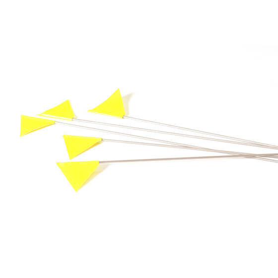 Fähnchen, Marker für Fährtentraining, 5 Stück in neongelb