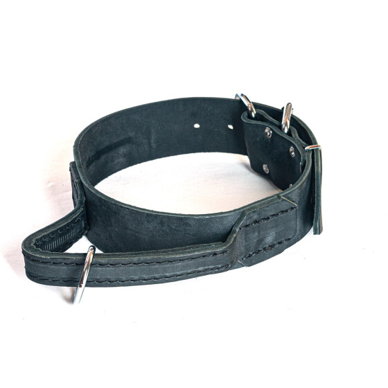 Breites Lederhetzhalsband mit Griff