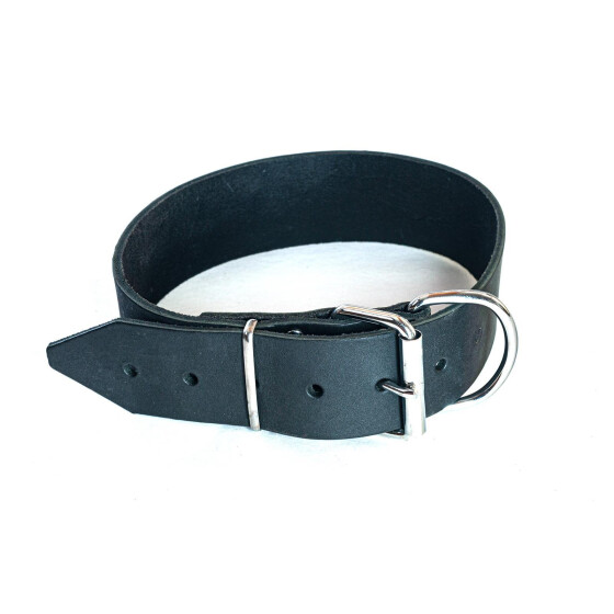 Breites Lederhetzhalsband ohne Griff