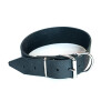 Breites Lederhetzhalsband ohne Griff
