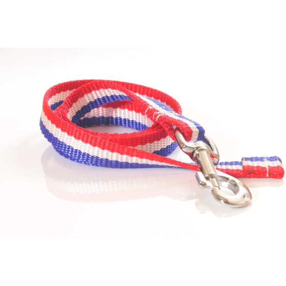 Hundeleine, 20mm breit,  blau-weiss-rot, ca. 1m, ohne Handschlaufe