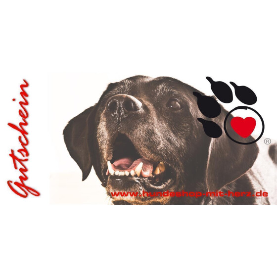Geschenkgutschein 20 EUR Gutschein - Labrador