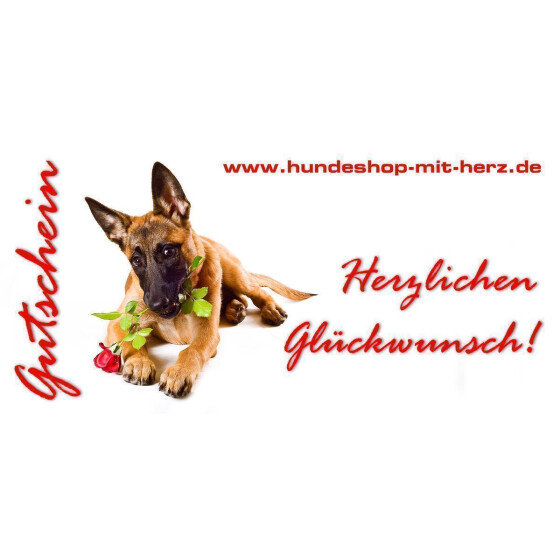 Geschenkgutschein 35 EUR Glückwunsch - Malinois-Welpe