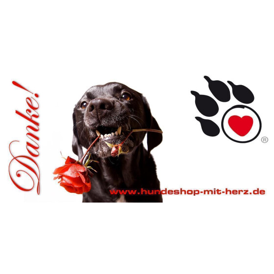 Geschenkgutschein 100 EUR Danke! - Labrador