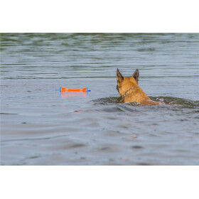 Chuckit Rugged Bumper orange, schwimmfähig