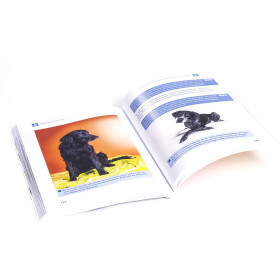Buch: Hundefotografie -  Perfekte Hundeaufnahmen leicht...