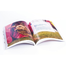 Buch: Hundefotografie -  Perfekte Hundeaufnahmen leicht gemacht