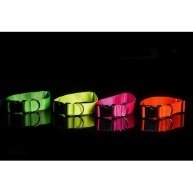 Halsband aus Gurtband neonfarben