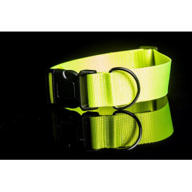 Halsband aus Gurtband neonfarben