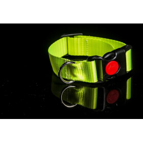 Halsband aus Gurtband neonfarben