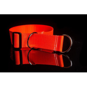 Halsband aus Gurtband neonfarben