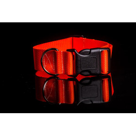 Halsband aus Gurtband neonfarben