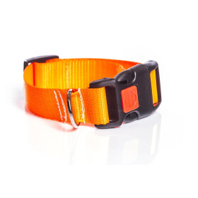 Halsband aus Gurtband neonfarben