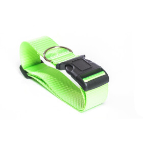 Halsband aus Gurtband neonfarben