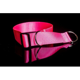 Halsband aus Gurtband neonfarben