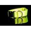 Halsband aus Gurtband neonfarben