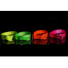 Halsband aus Gurtband neonfarben