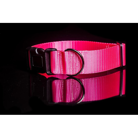 Halsband aus Gurtband neonfarben Steckschließer 4cm neonpink