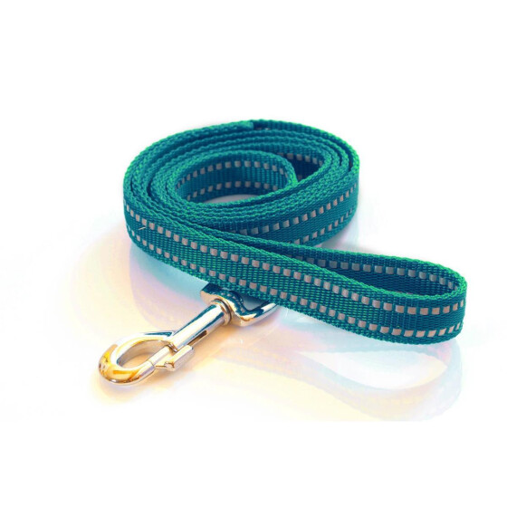 Leine, 20mm breit, ca. 1,2m lang, mit Handschlaufe, reflektierend