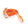 Leine, 20mm breit,  ca. 1m lang ohne Handschlaufe, reflektierend orange