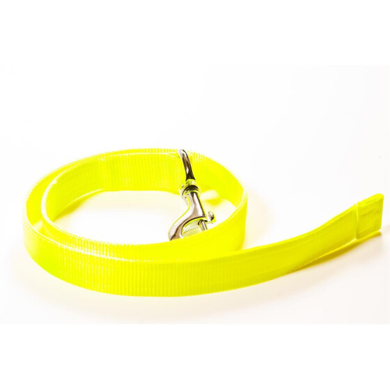 Leine aus neongelbem Gurtband