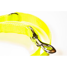 Leine aus neongelbem Gurtband