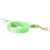 Leine aus Gurtband, 1m lang Farbe: hellgrün (vernäht) Breite: 15mm