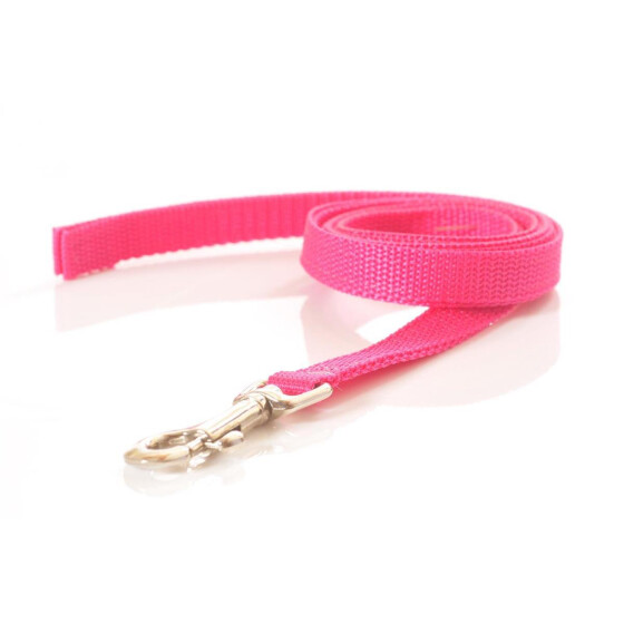 Leine aus Gurtband, 1m lang Farbe: pink (vernäht) Breite: 15mm