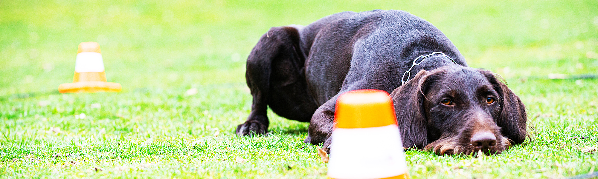 Boxbänder und Kreisbänder
