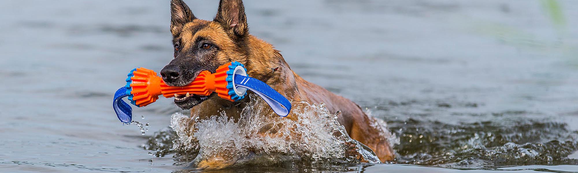 Hochwertiges Hundespielzeug