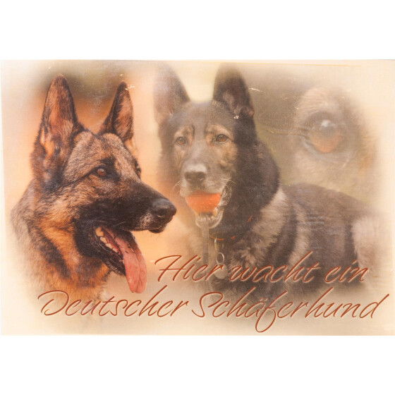 DSH (Hier wacht ein Deutscher Schäferund)